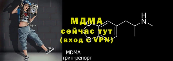 шишки Богданович