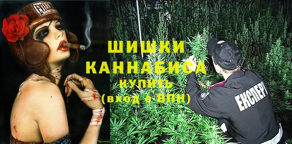 шишки Богданович