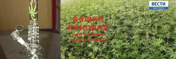 шишки Богданович