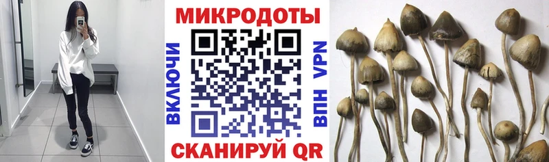 Псилоцибиновые грибы мухоморы  как найти наркотики  blacksprut   Коряжма 